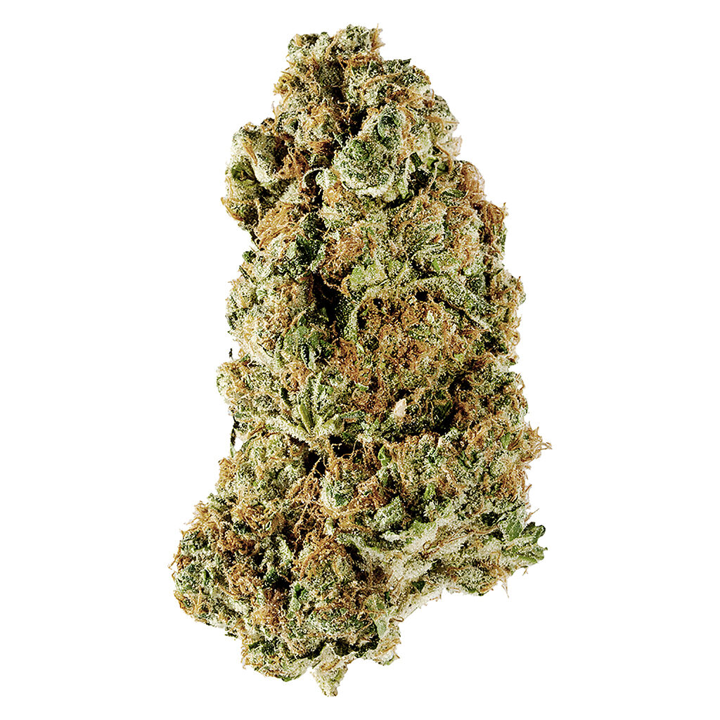 Product image Redecan - Wappa 1
