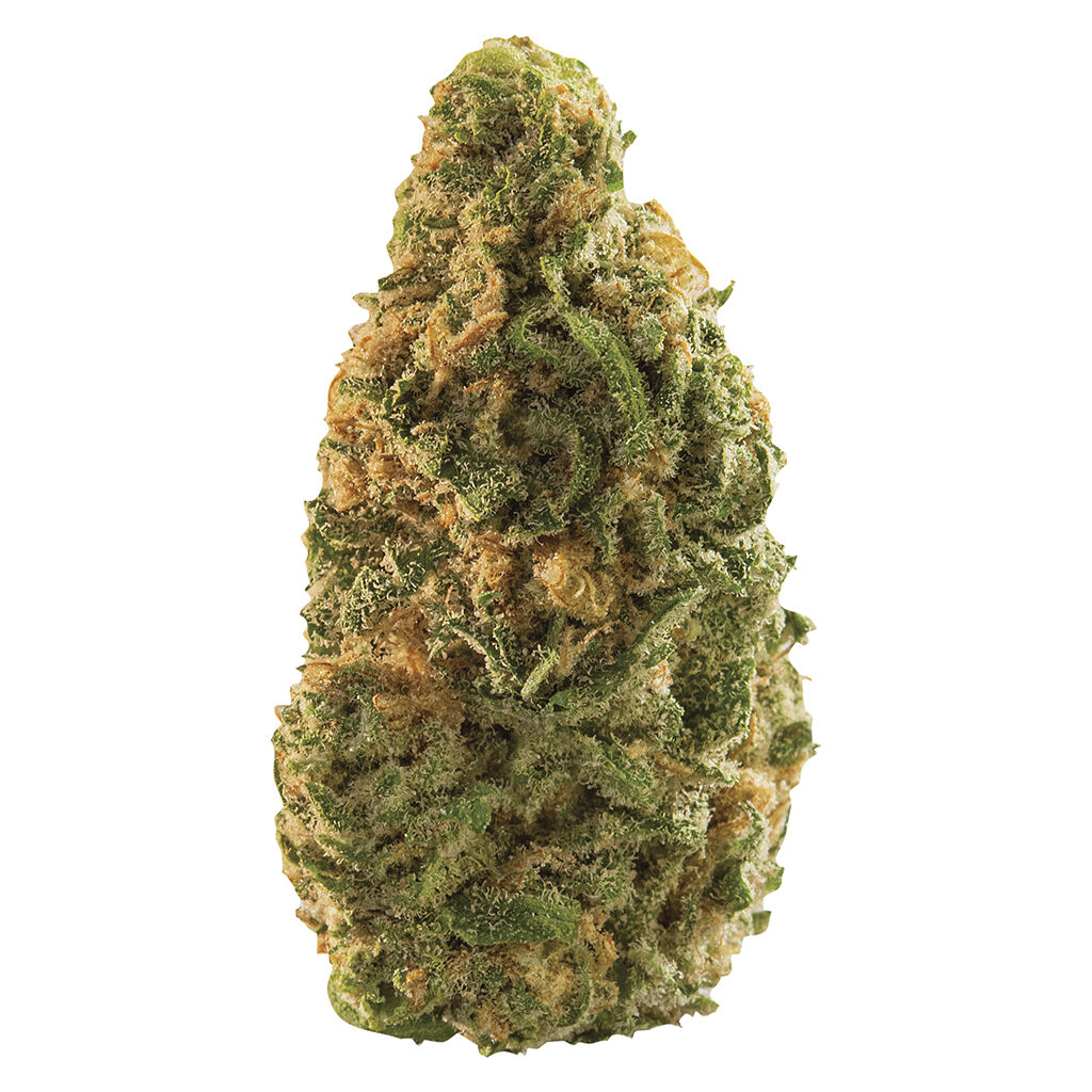 Spinach - Blue Dream