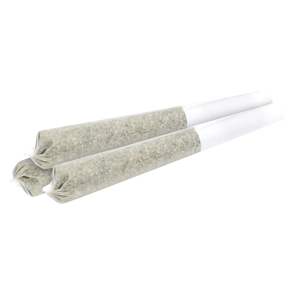 MSIKU - White Wedding Pre-Roll