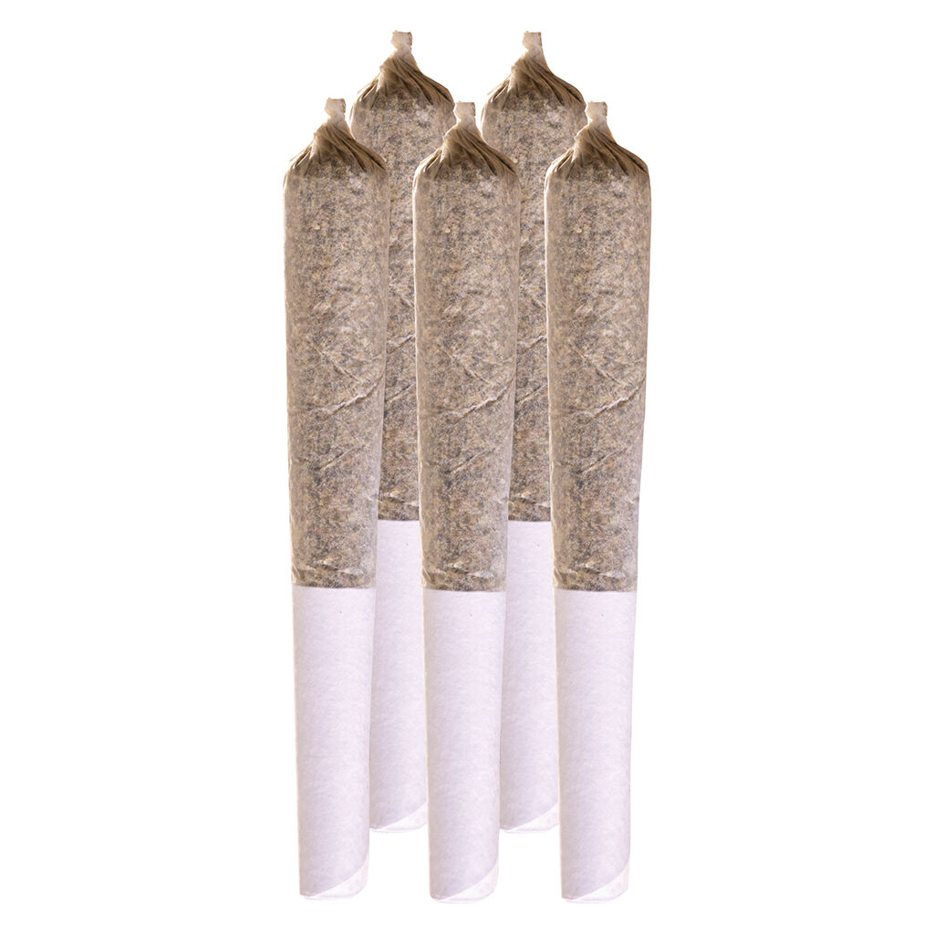 Station House - Amnesia Haze 1x0.5g Pre-Roll- Station House Main Image