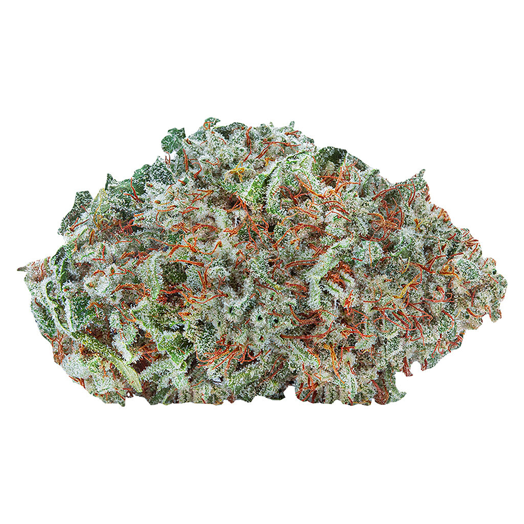 Highly Dutch Organic - Amsterdam Sativa 28g Dried Flower Main Image
