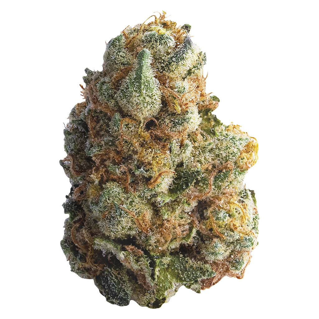 GMO Cookies 3.5g Dried Flower