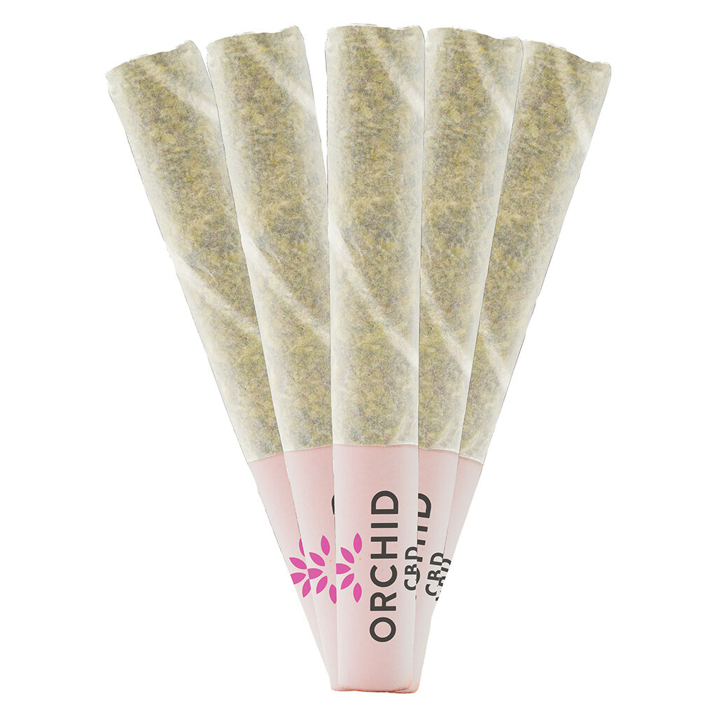 Orchid CBD - CBD Runtz Pre-Roll
