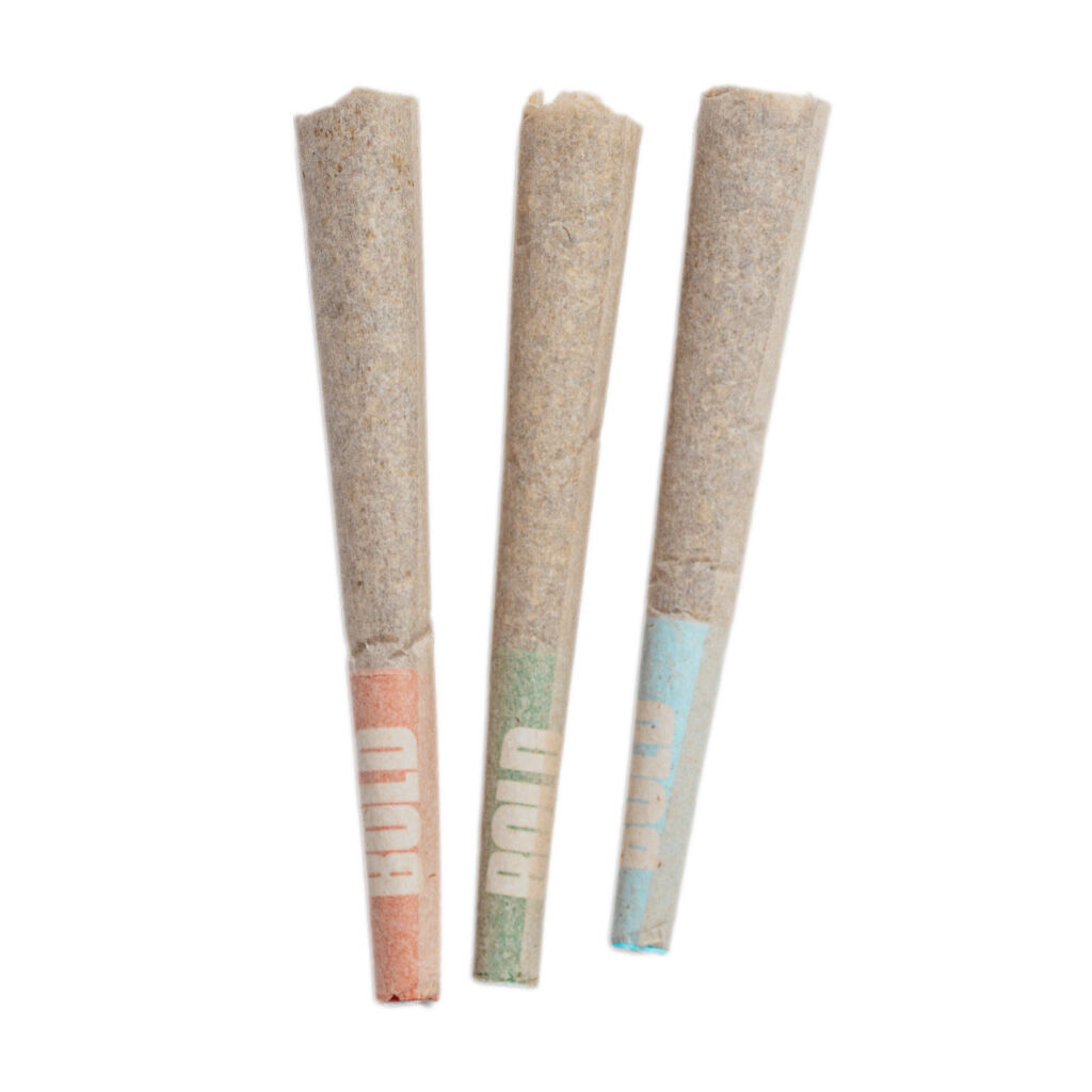 BOLD - Craft Sampler Pre-Rolls