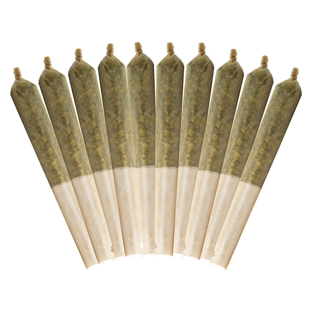 Buddy Blooms - 10th Planet Pre-Rolls