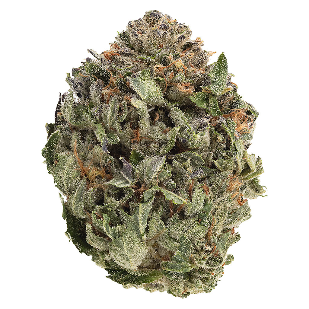 Comatose 3.5g Dried Flower