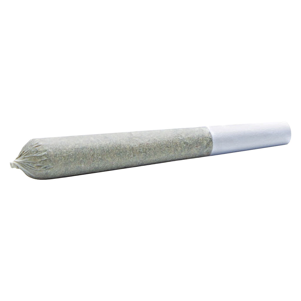 Blackberry Gelato Pre-Rolls