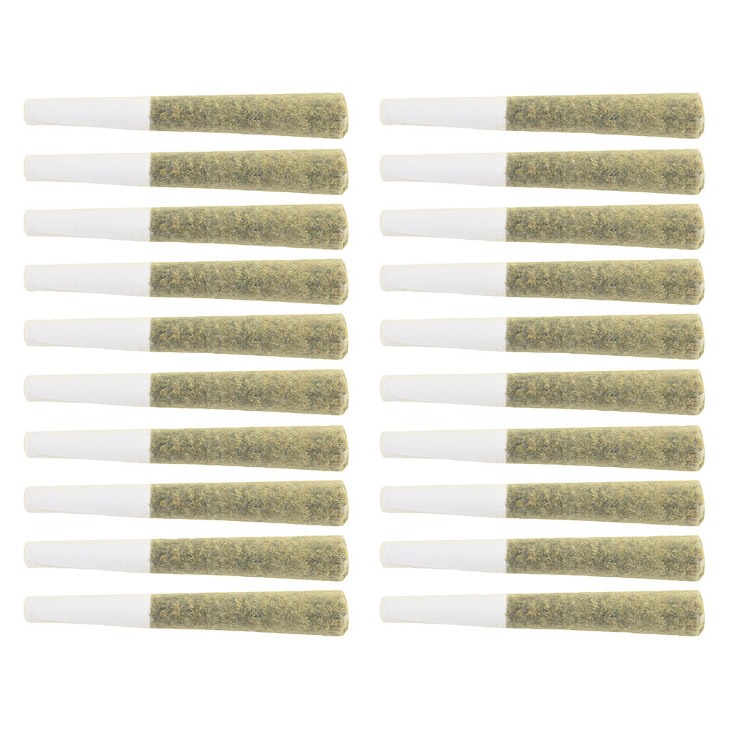 The Loud Plug - Exotic Gas Lg. Pack Pre-Roll