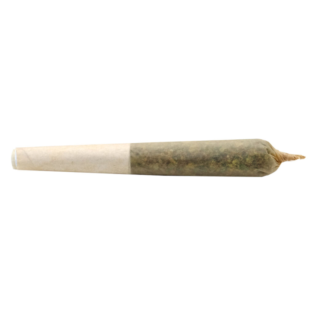 Buddy Blooms - Lil Buddy Sativa 1x0.5g Pre-Roll Main Image