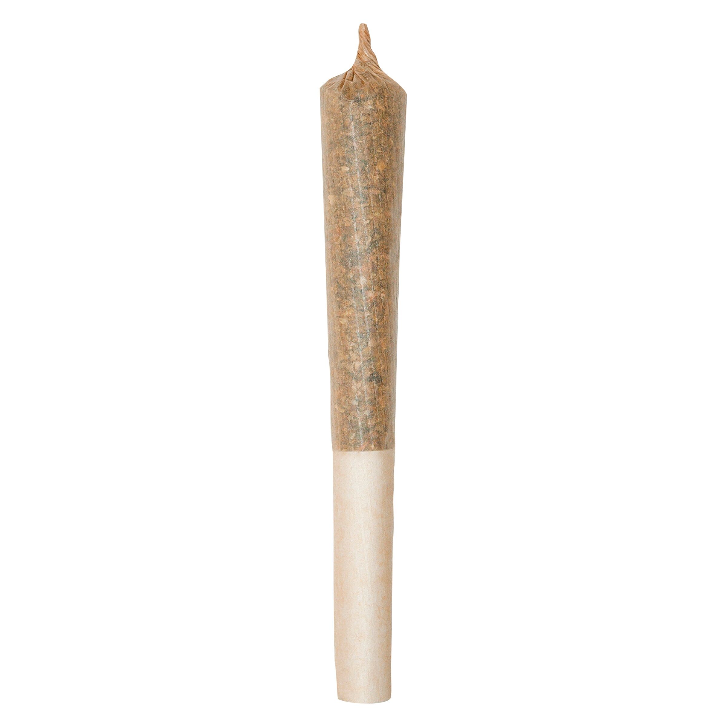 Morning Mojo Pre-Roll