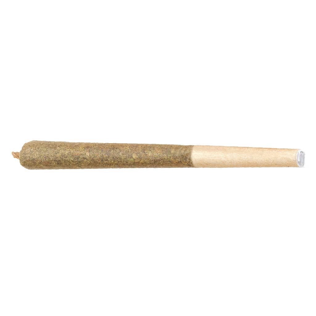 Moby Dick Pre-Roll