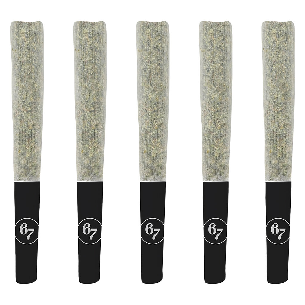 SIXTY SEVEN SINS - 67 Artisan Reserve 5x0.5g Pre-Rolls Main Image