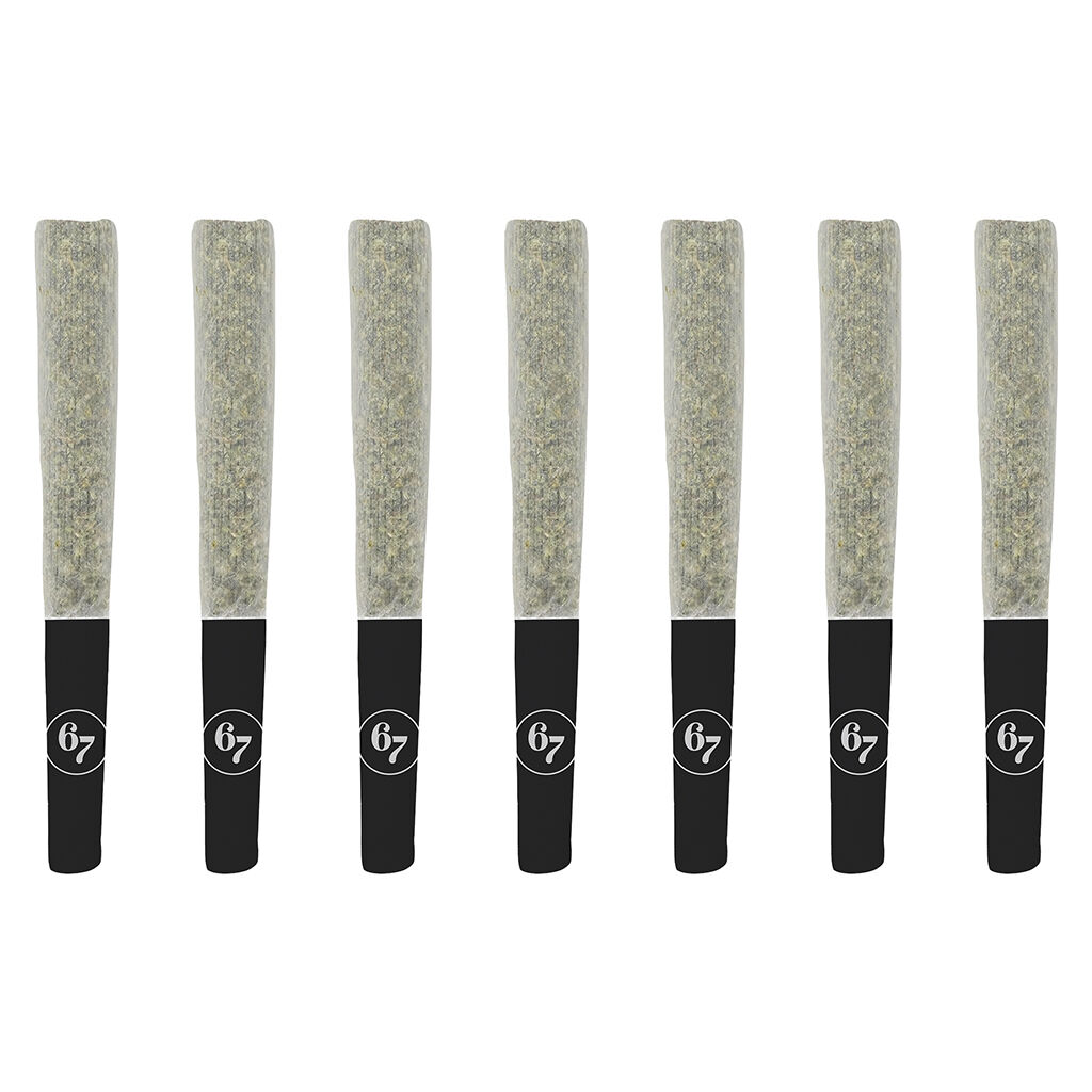 Sixty Seven Sins - Gas Face Pre-Roll