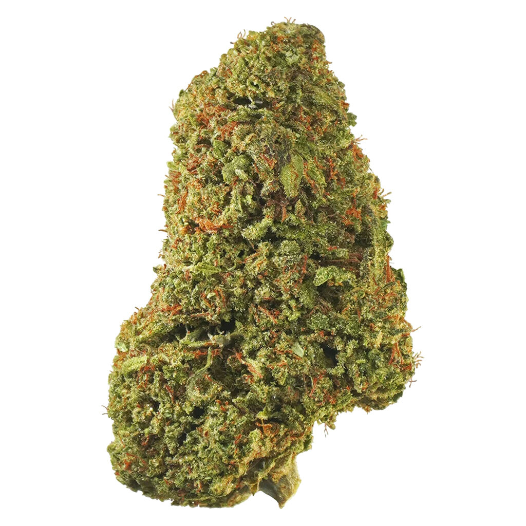 1964 - Tropicanna 7g Dried Flower Main Image