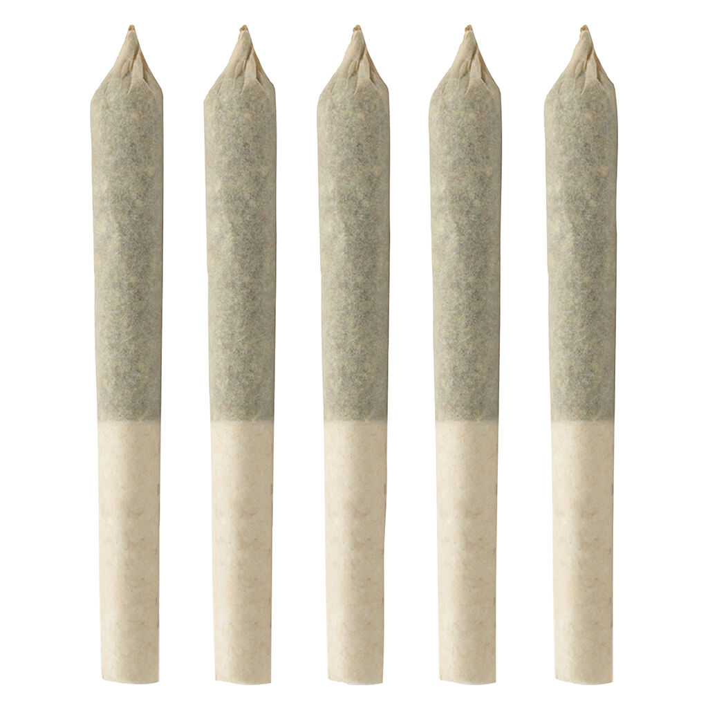 BC Organic Tangerine Sunrise PreRoll  5x
