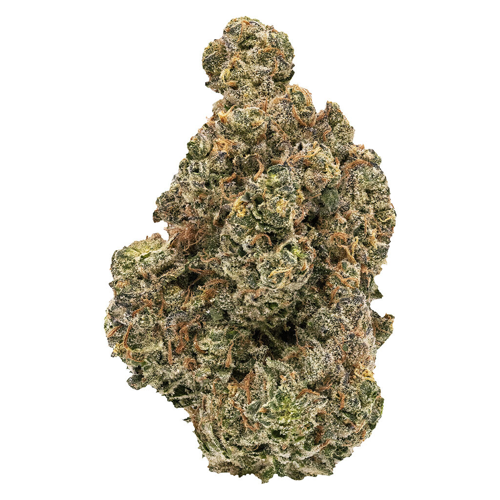 FIGR - Golden Hour - Dried Flower