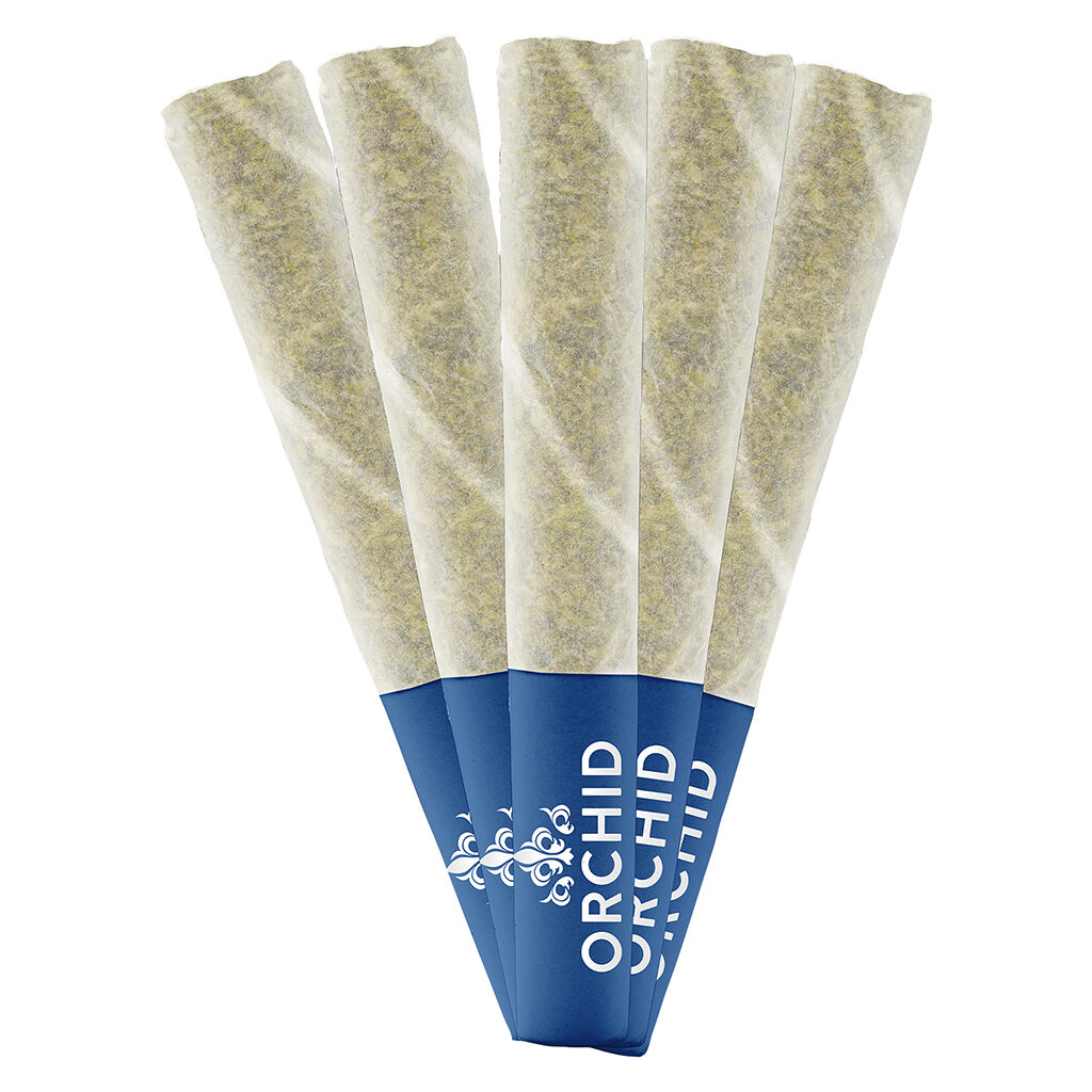 Jean Guy CBD Pre-Roll