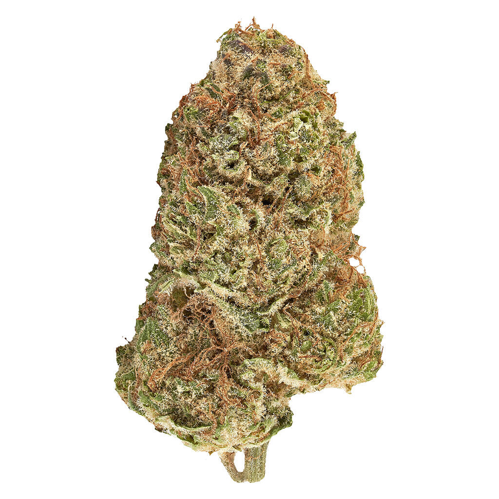 Carnaval Cannabis - Big Bang Sativa Smallz 14g Dried Flower Main Image