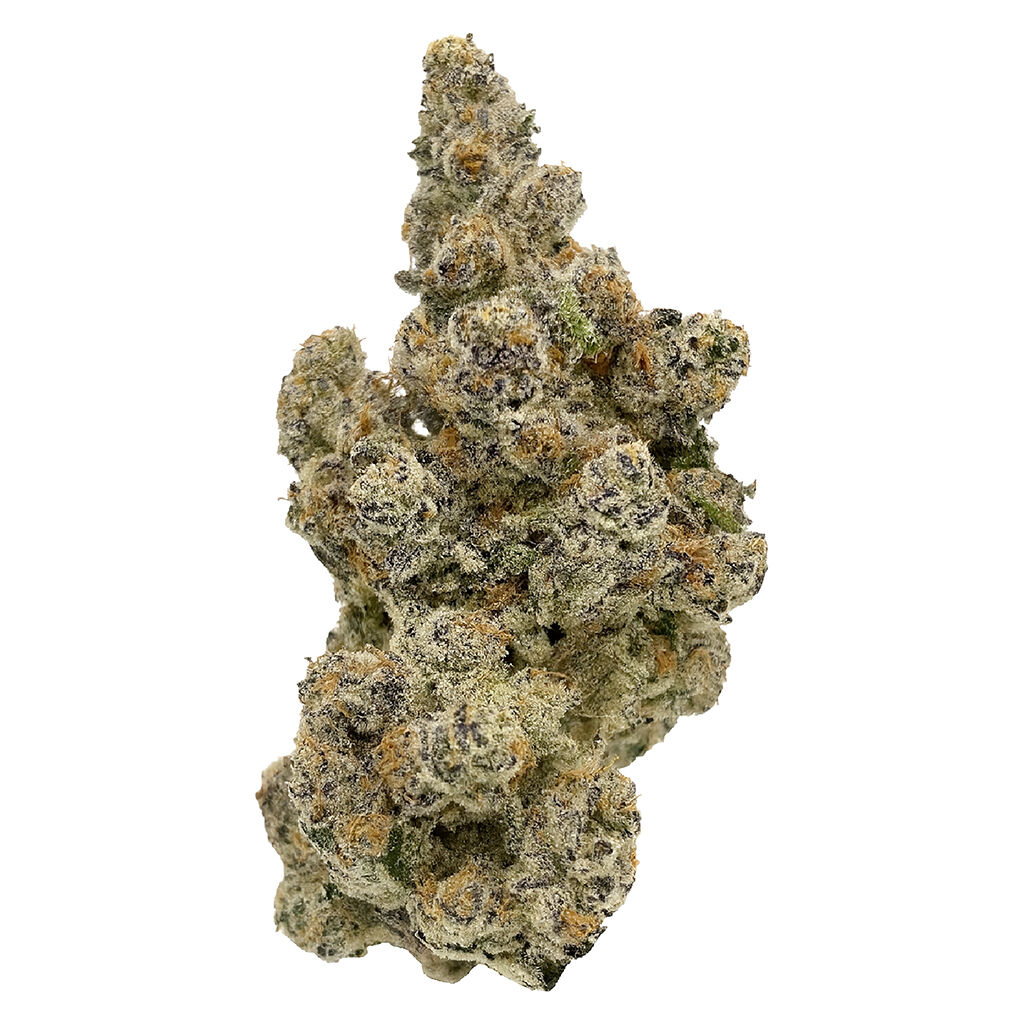 LALALAND dried flower