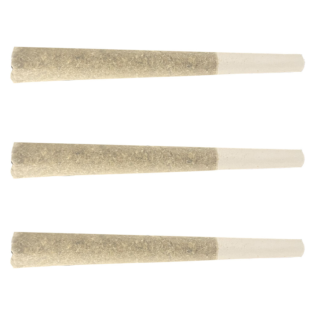 Fool's Gold Pre-Roll