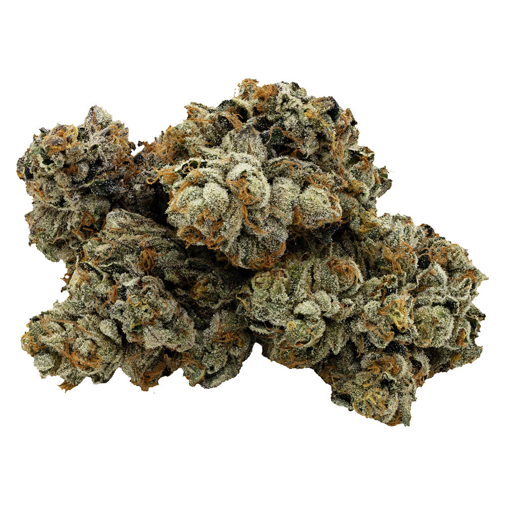Jet fuel Gelato x Pinesoul
