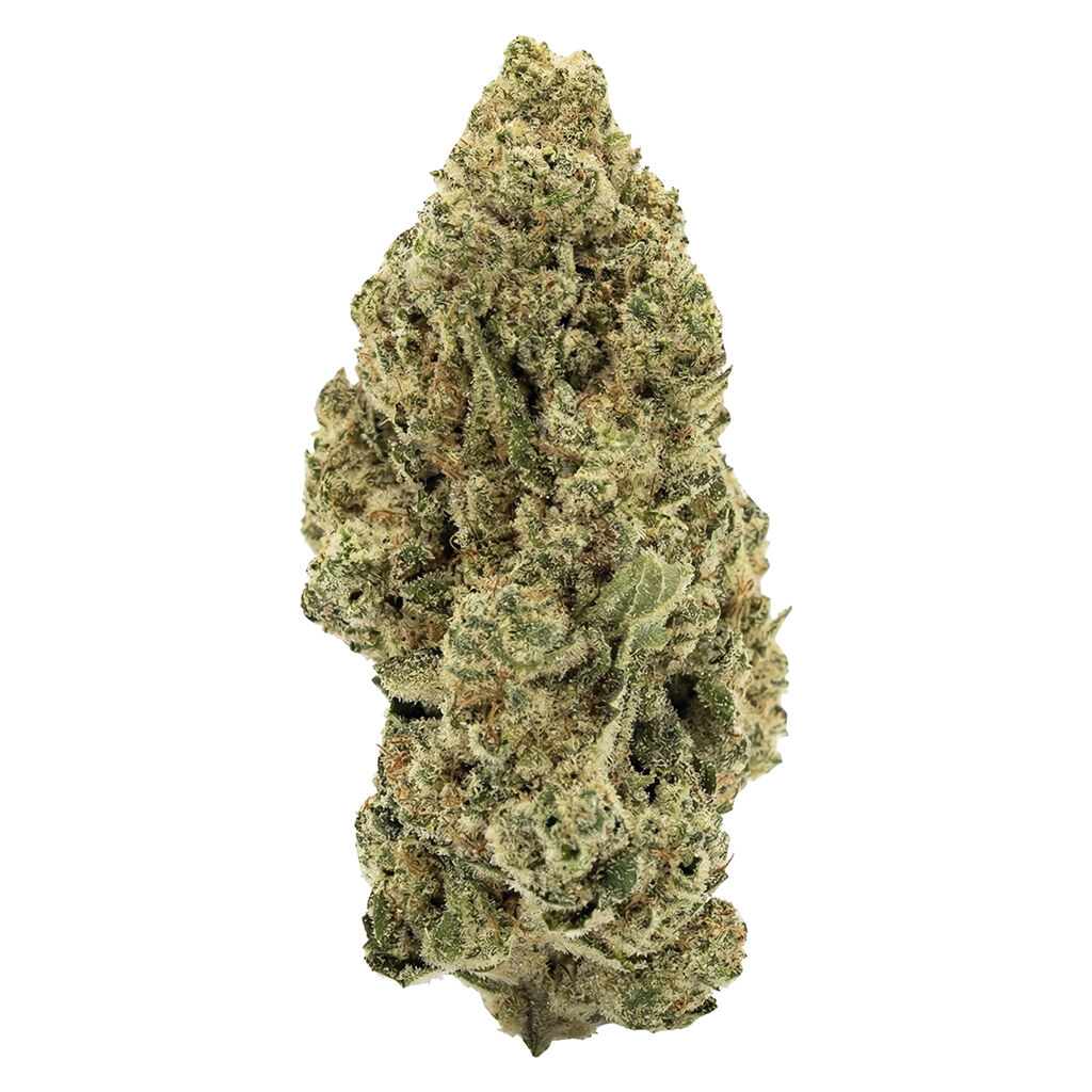 Indica