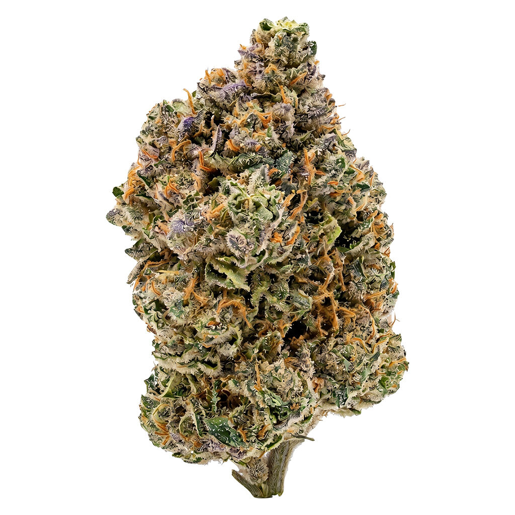 Sativa