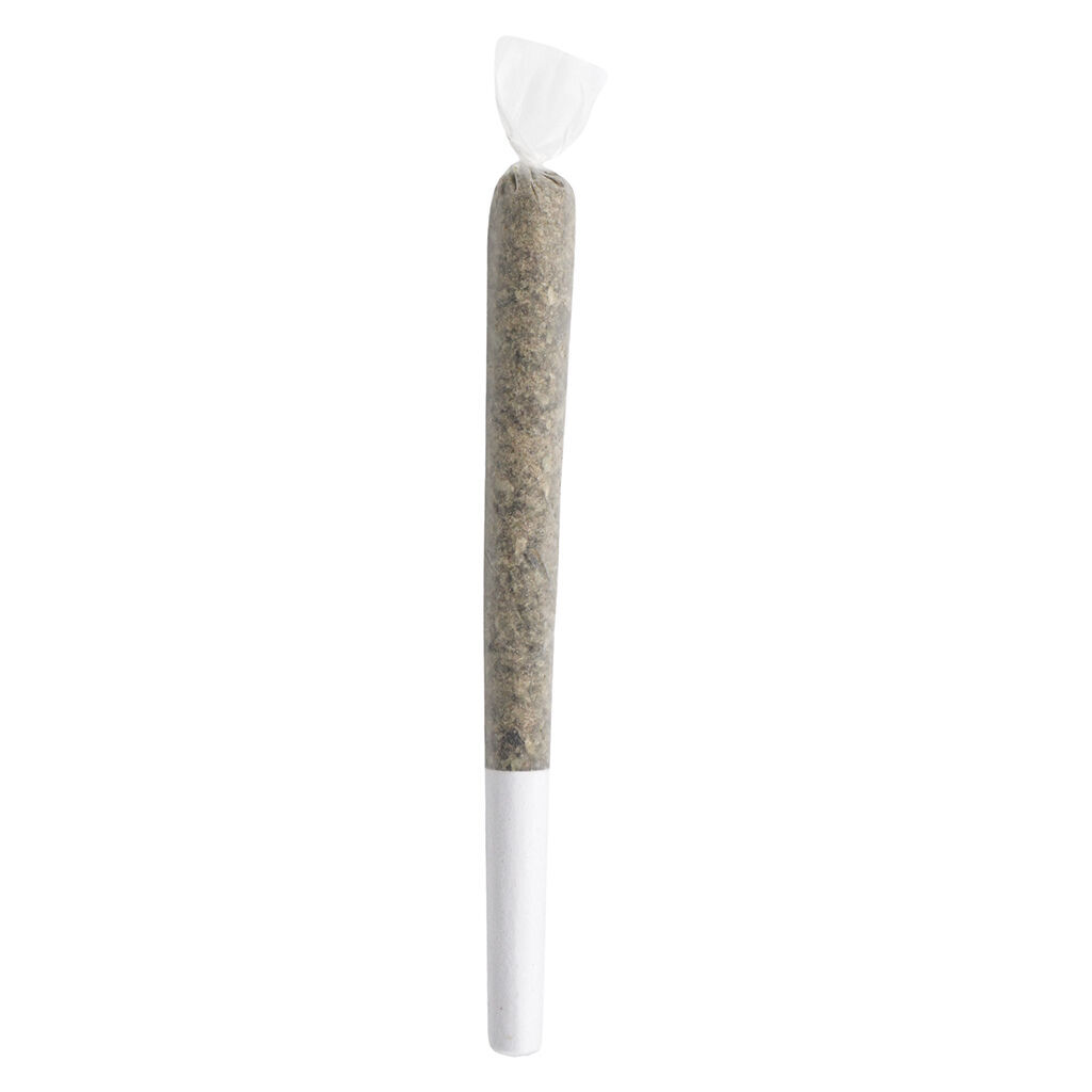 Master Jack Pre-Roll