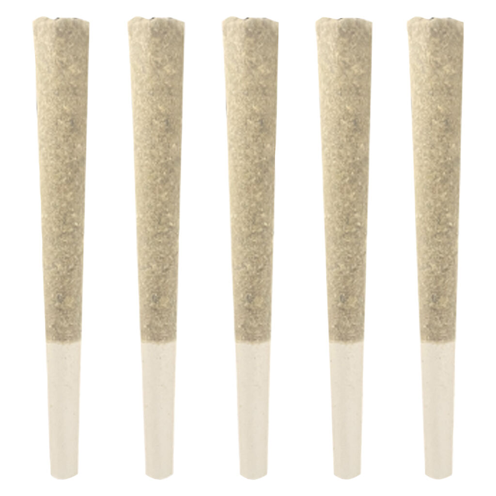 Jackson 5 Variety pack