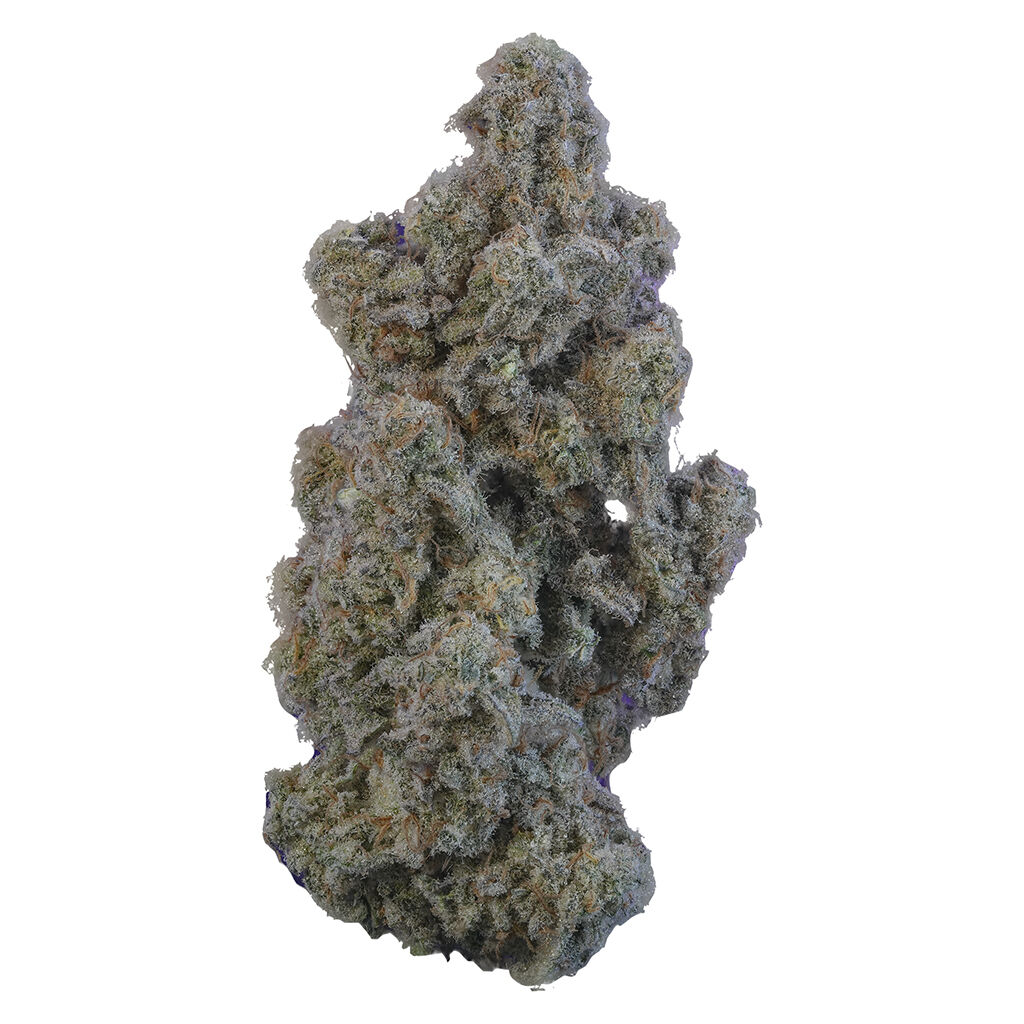 VOLO - Marshmallow Milk 3.5g Dried Flower Main Image