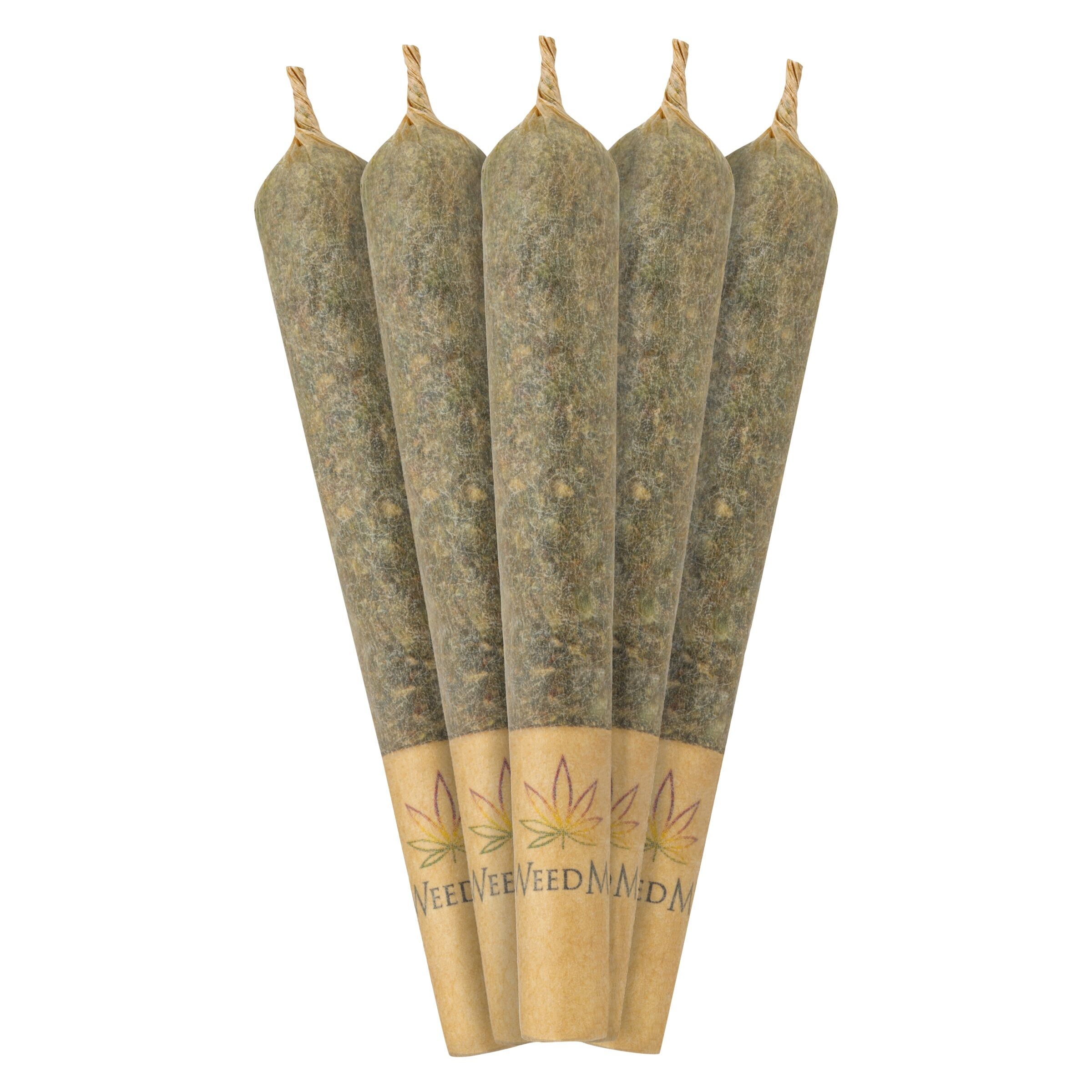 Maple Rntz Pre-Roll