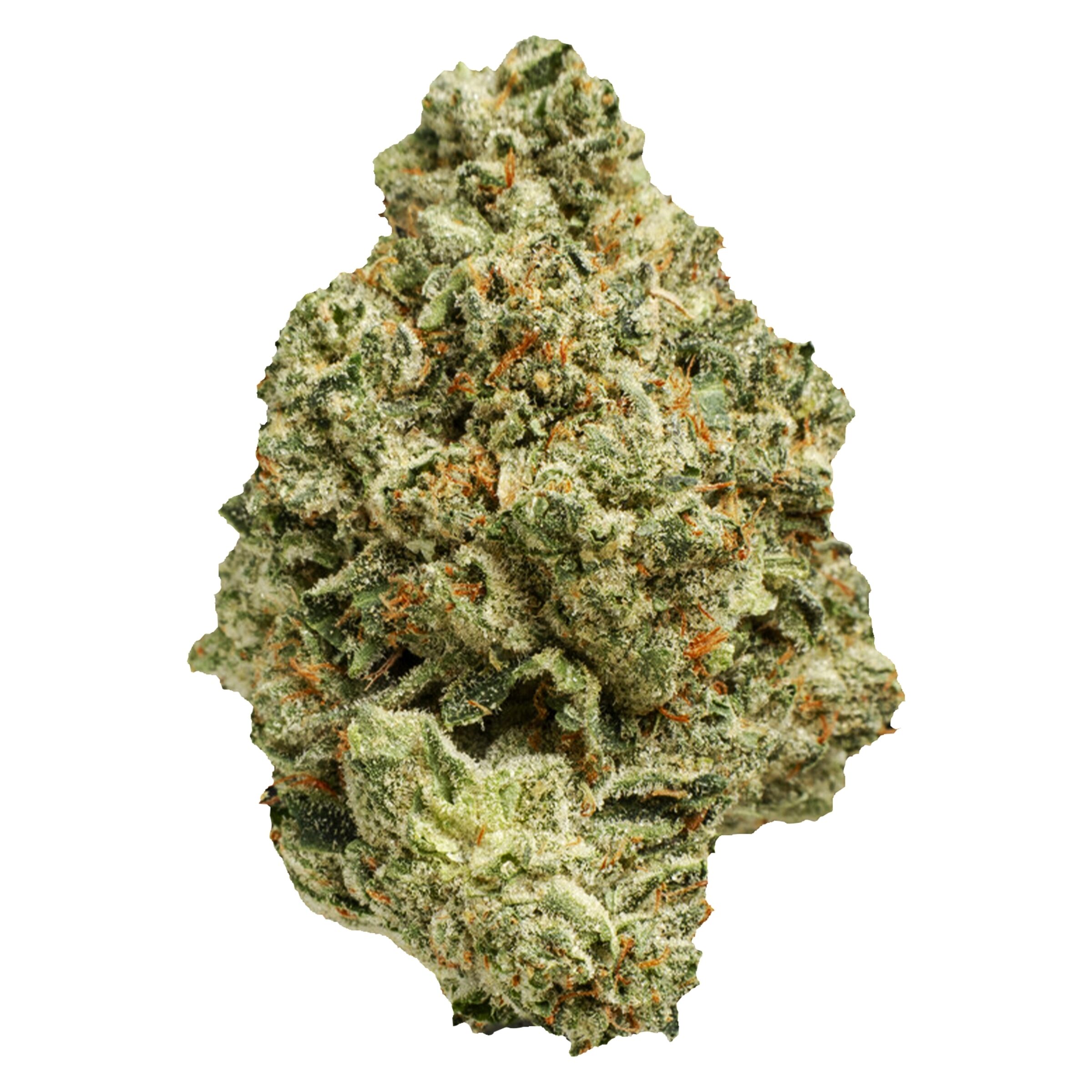 Lemon Splash