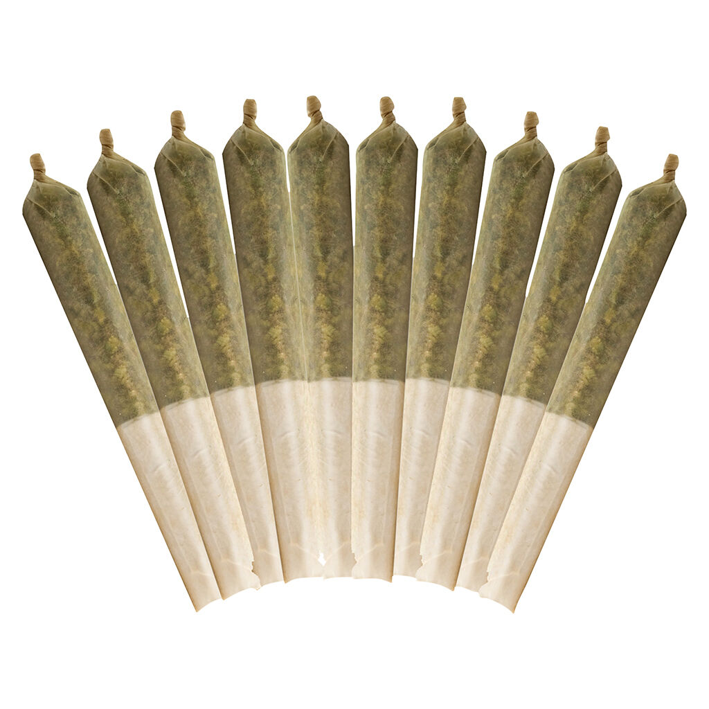 Buddy Blooms - Ethos Glue Pre-Roll