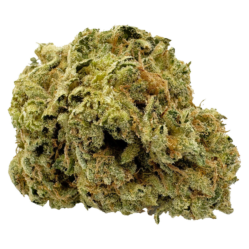 1st Quarter ( Sativa)