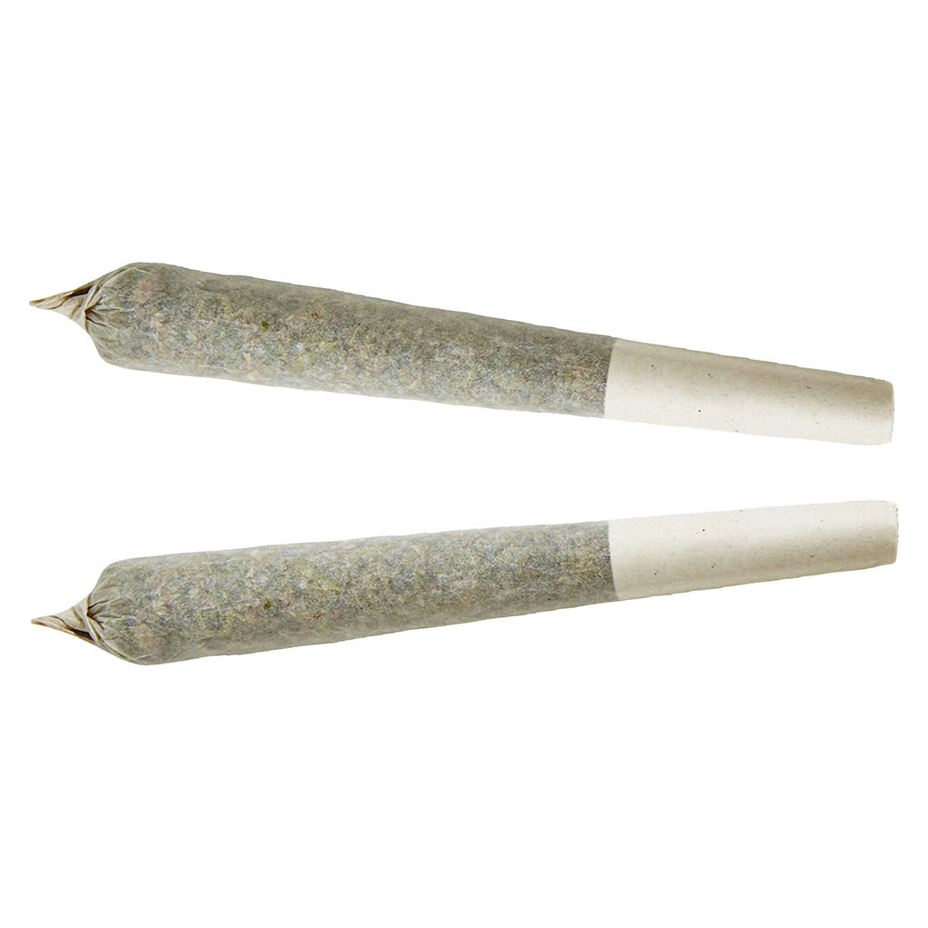 XPLOR - Sativa Pre-roll - 1x1g