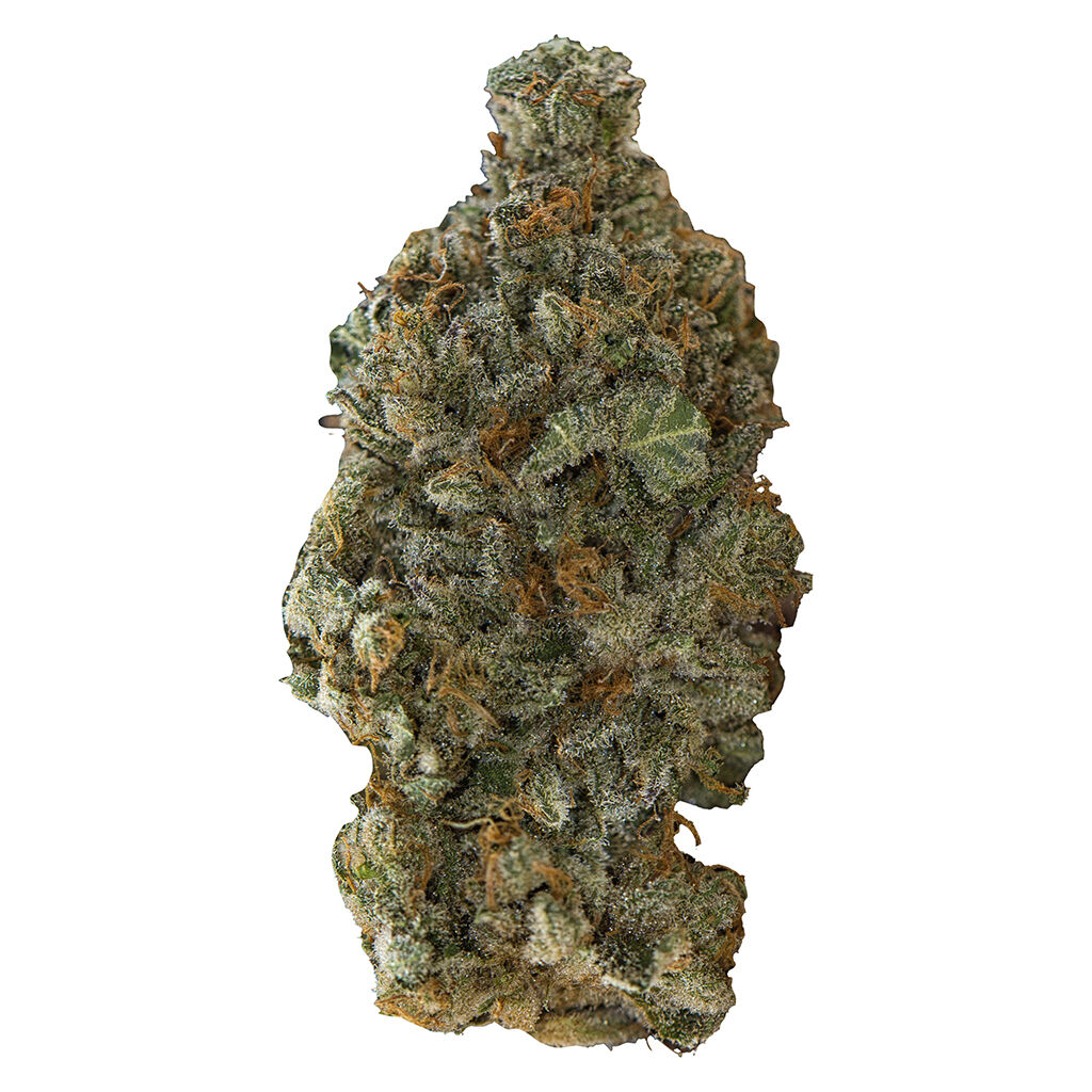 Girl Scout Cookies