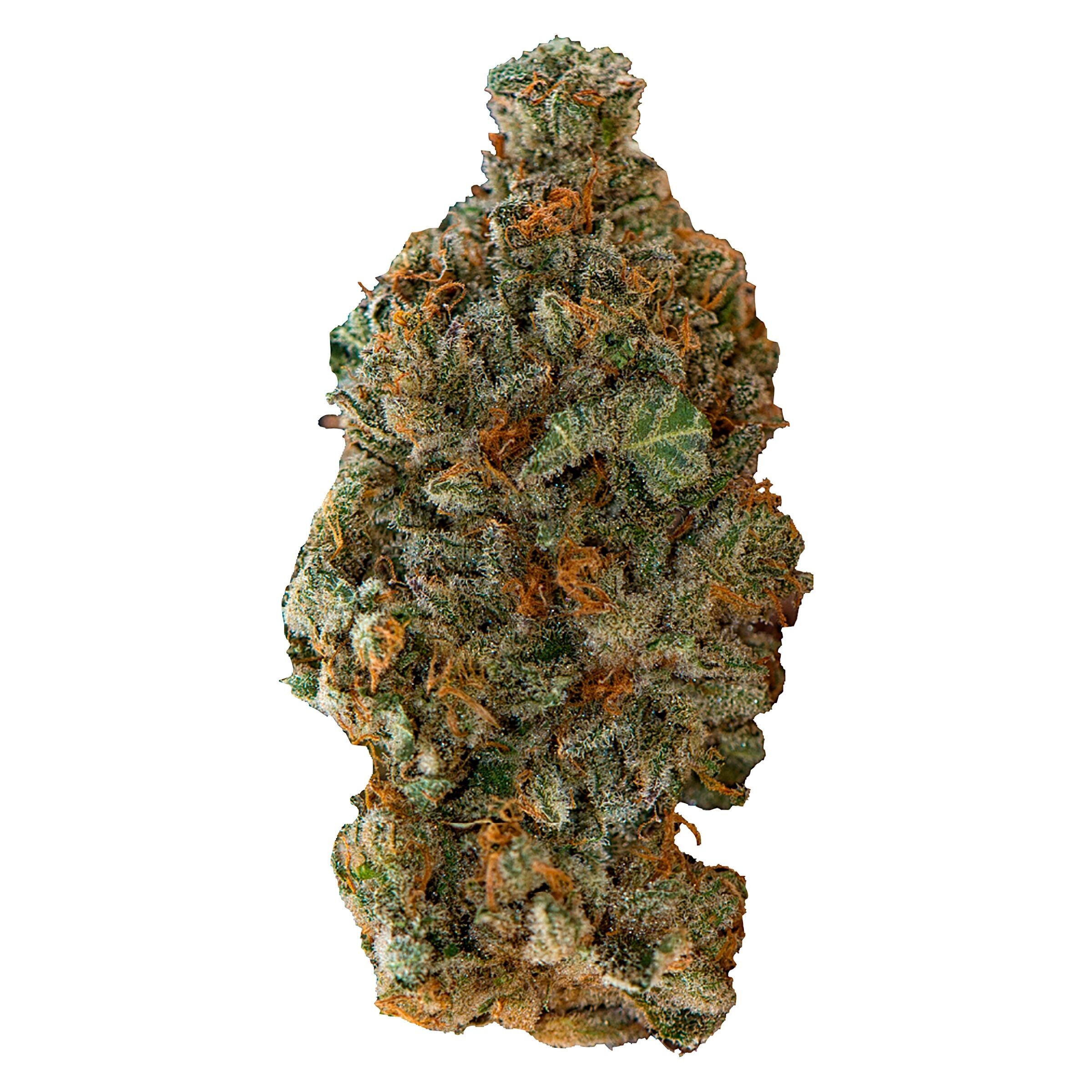 Girl Scout Cookies 7g Dried Flower