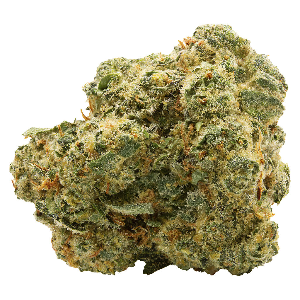 Blue Thai 3.5g Dried Flower