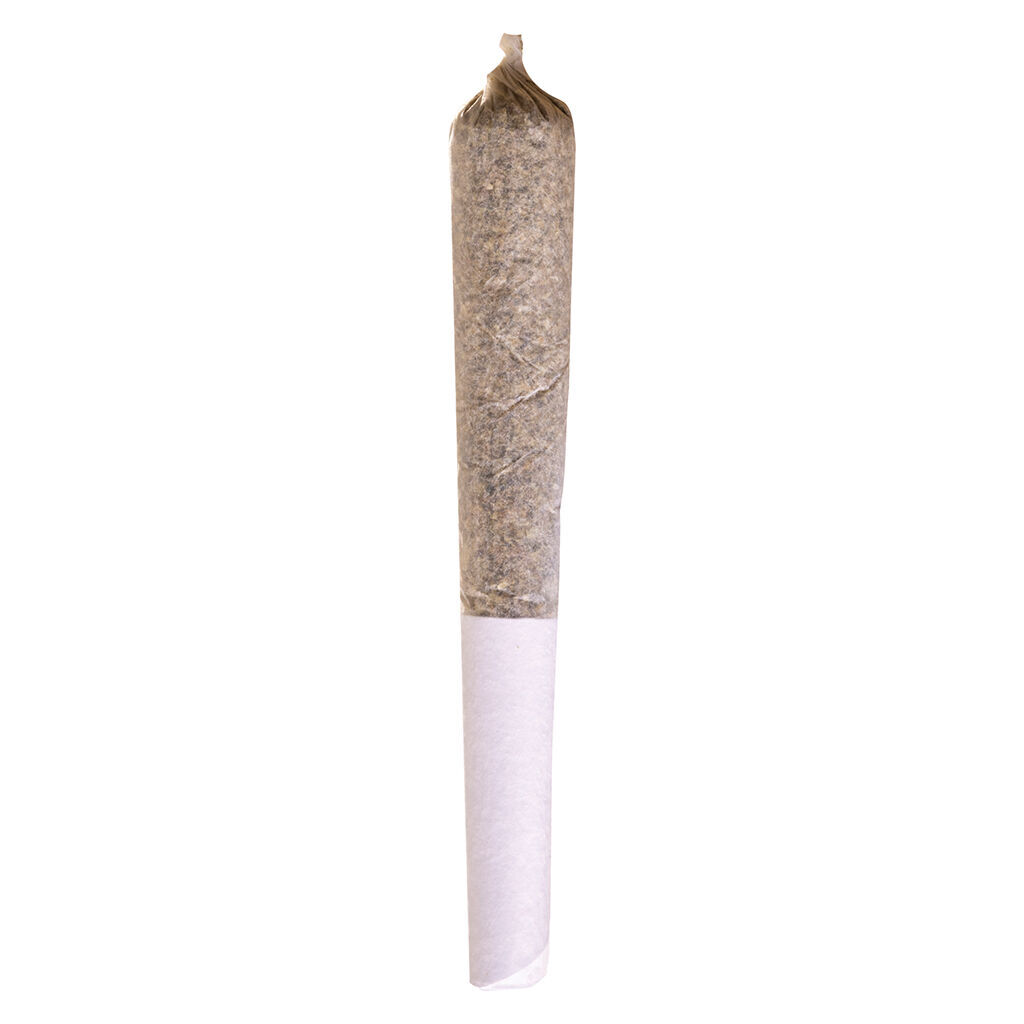 Mango Dream 1x0.5g Pre-Roll
