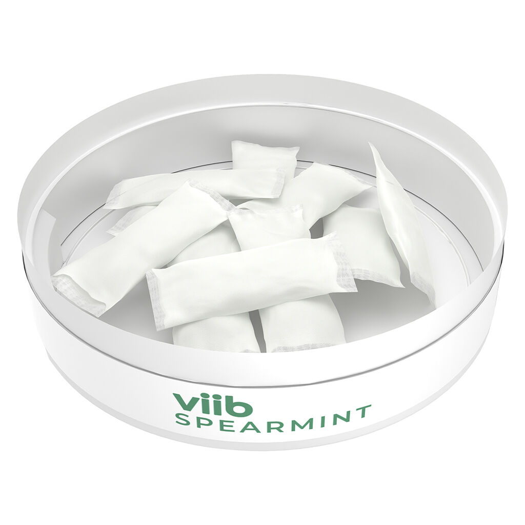 Spearmint 4 :1 THC CBG Pouches
