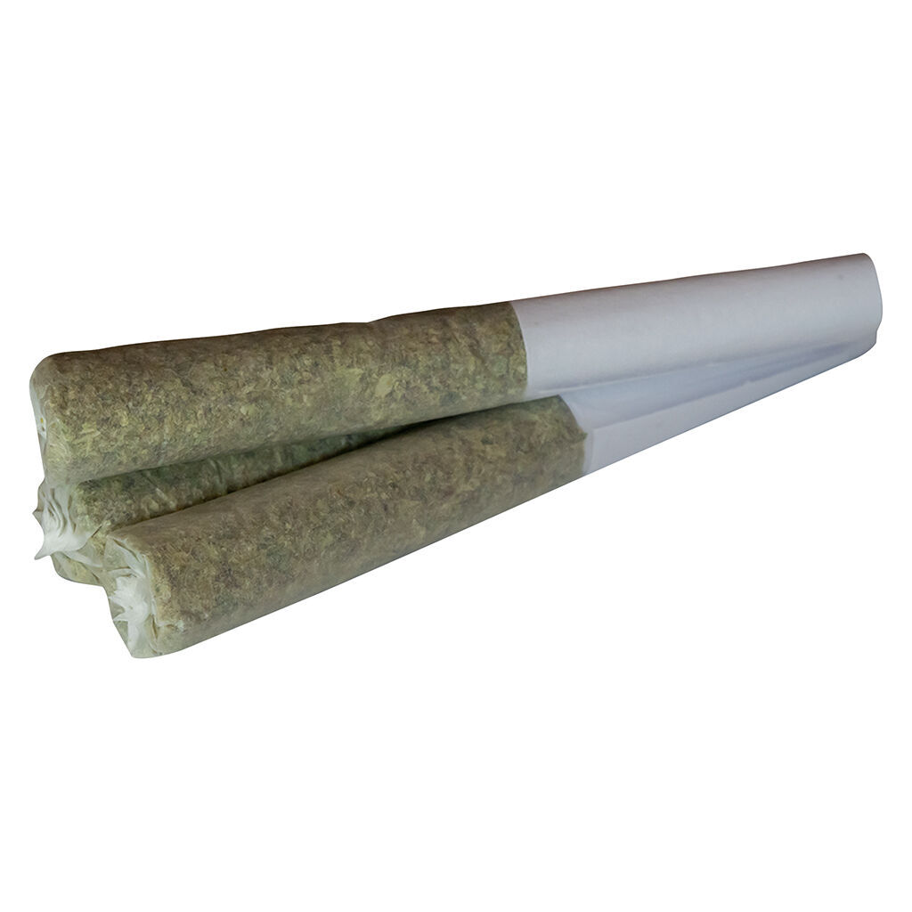 Tropical Meltdown Pre-Roll
