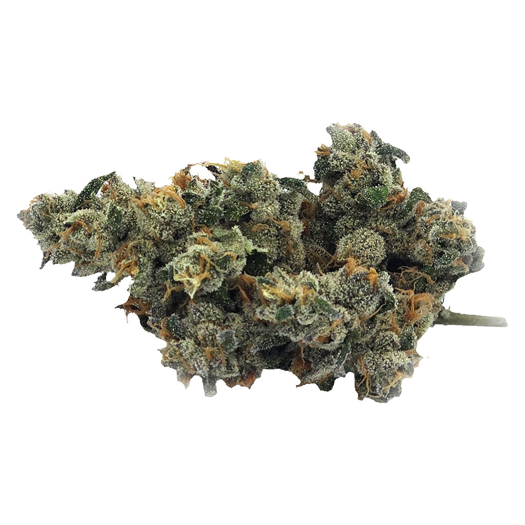 Truro - Bluenose Berry 7g Dried Flower Main Image