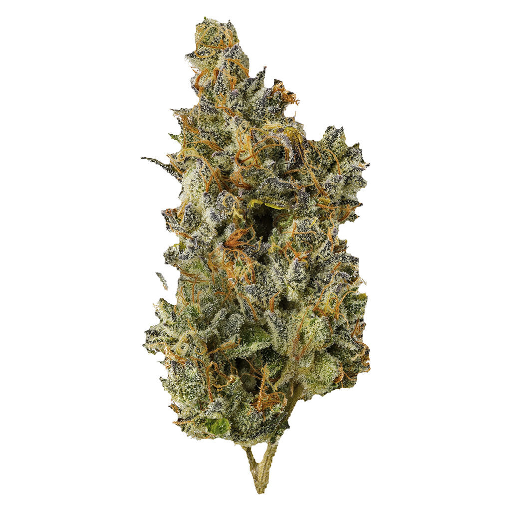 Nakatomi Plaza 7g Dried Flower