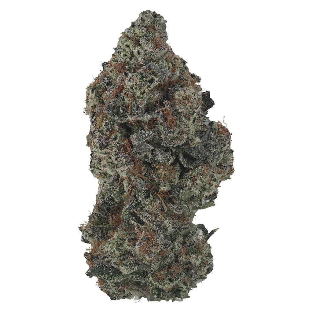 OP Reserve (Indica)