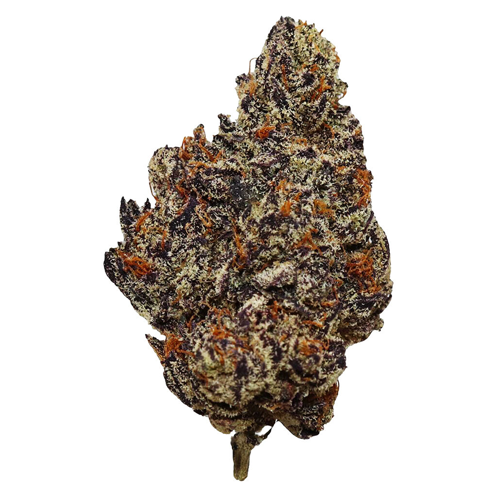 HighXotic - Batch 007 Don Mencho (Permanent Marker x Gelato 41 x Sherb bx) - 7g  Terps 3.3%