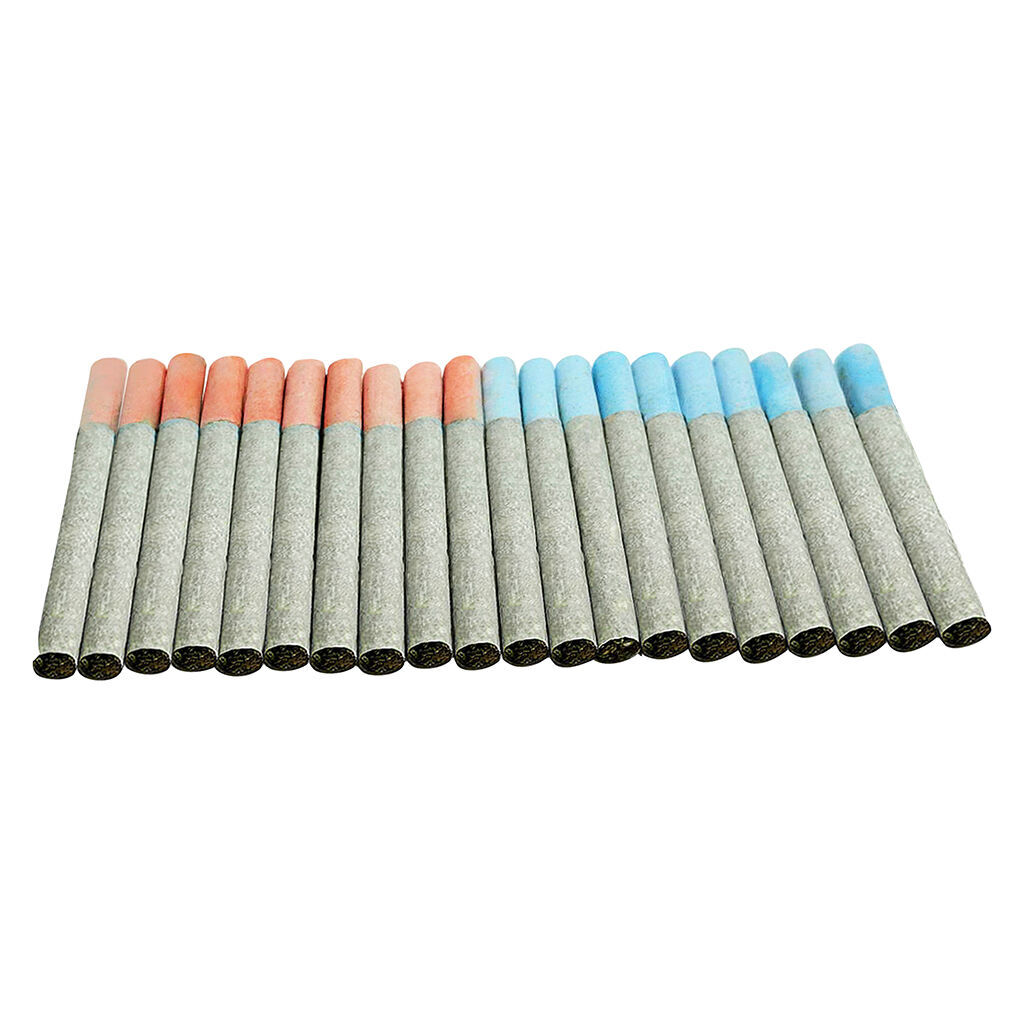 Block Party Pre-Roll