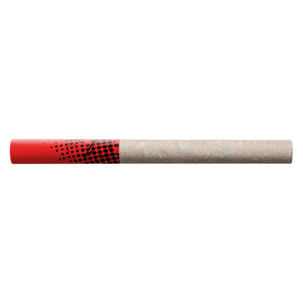 BIG BAG O' BUDS - Blueberry Dream Tube Style 20x0.4g Pre-Rolls Main Image