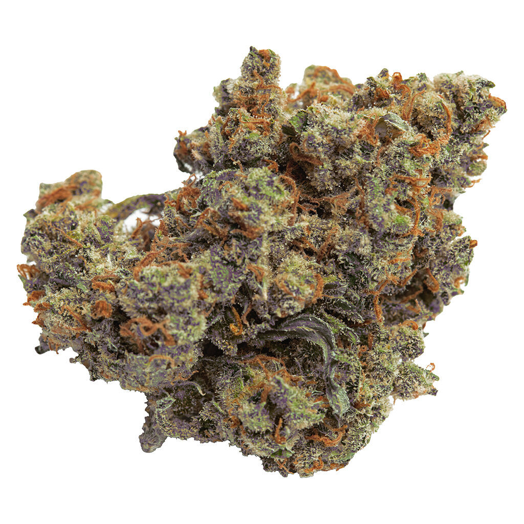 Lazer Jet Craft Whole Flower