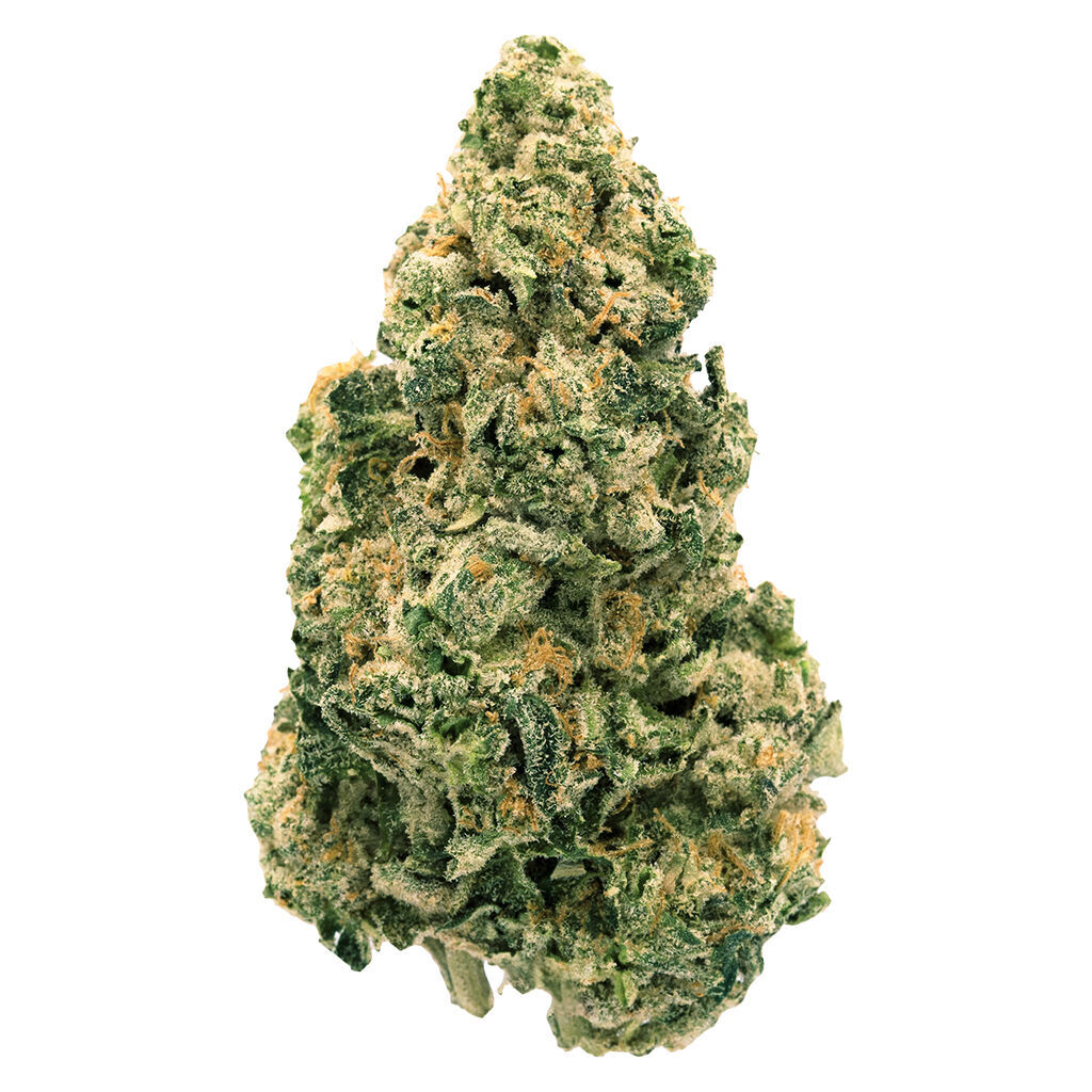 Galactic Jack (Jack Herer x Space Queen) - 7g