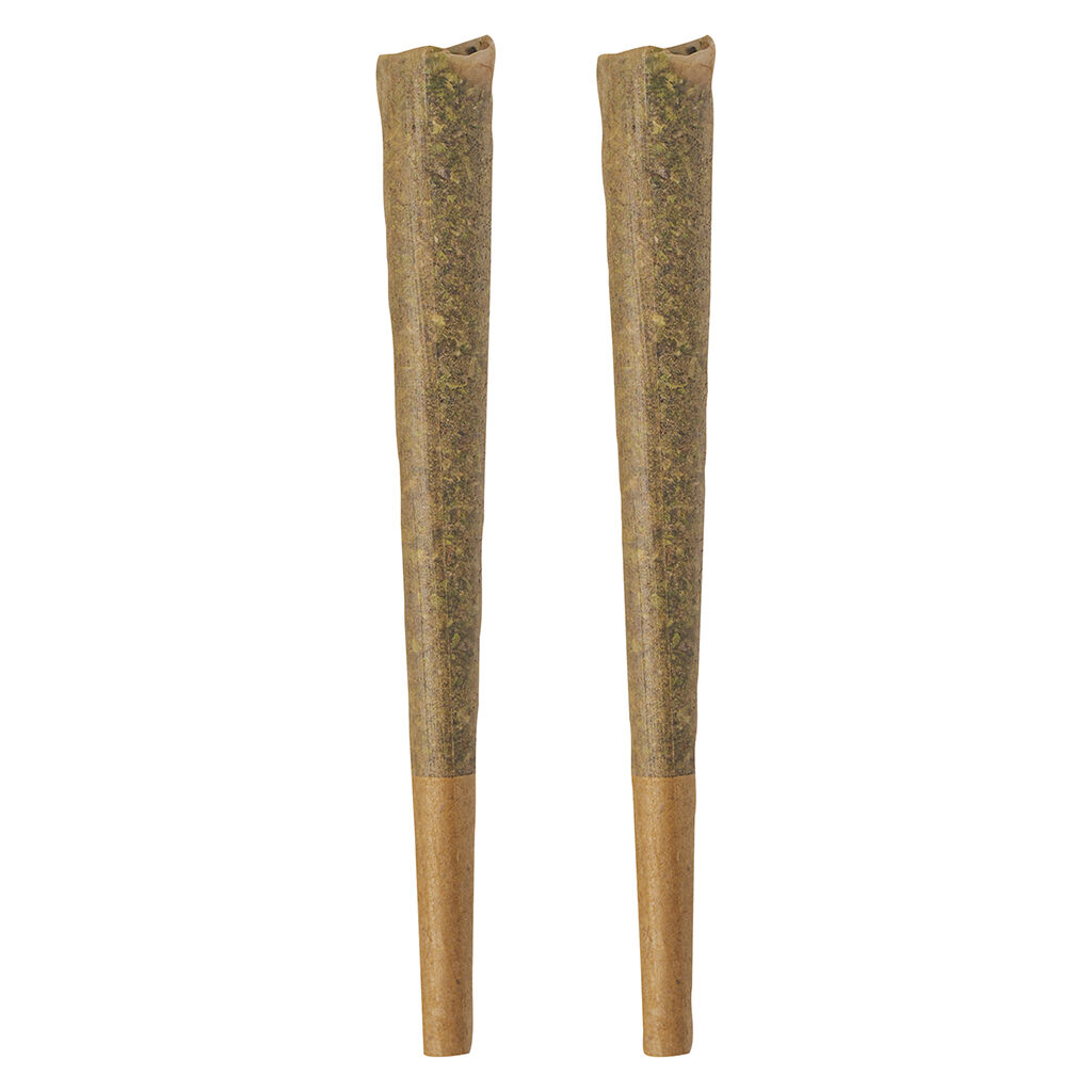 BOLD - GLAZED Indica Pre-Roll
